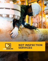 DEB Inspection Brochure - 013125-1